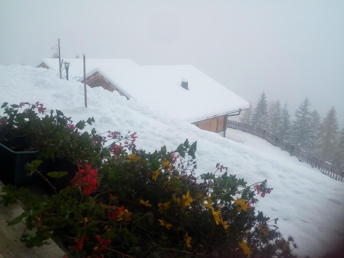 Chalet Niederhaushof Ulten Exterior foto